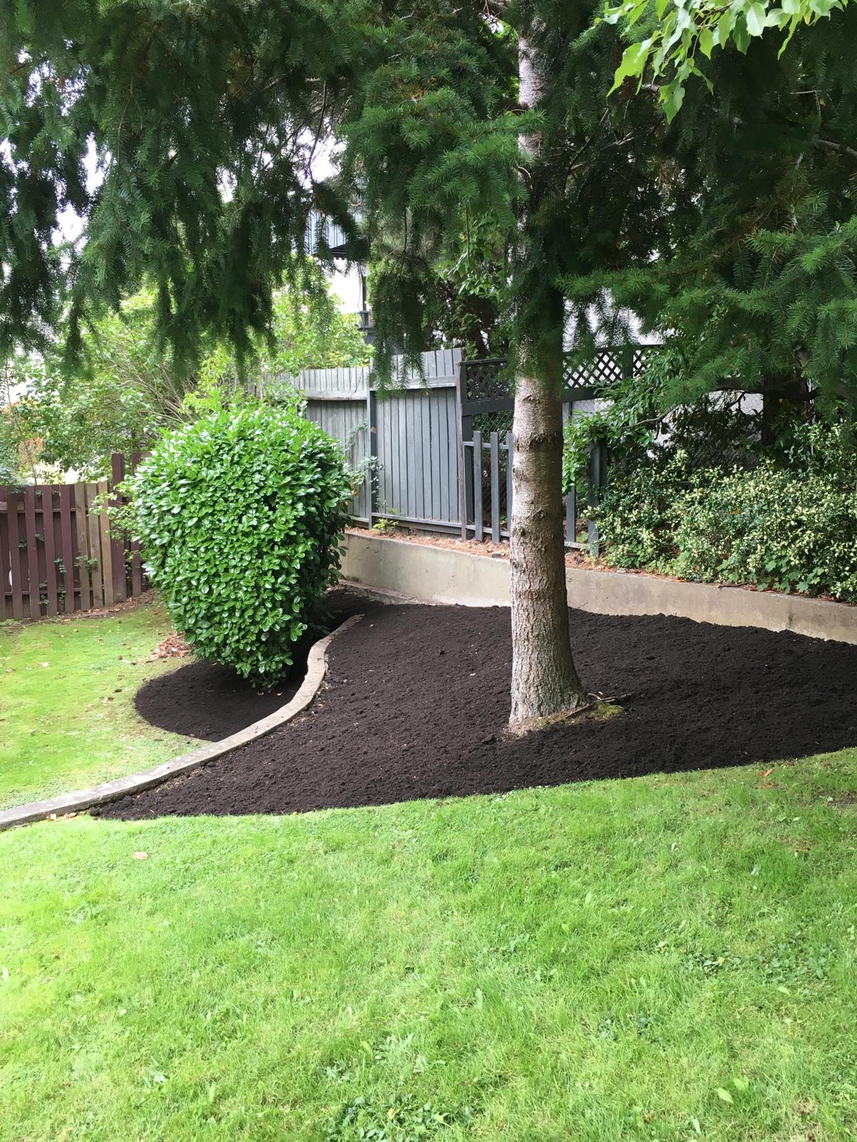 Landscaping work 3